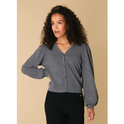 IVY BEAU Rudy vest grey