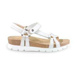 Panama Jack Sally basics b1