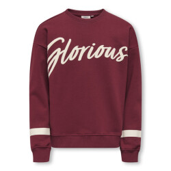 Only Koghella life ls o-neck loose print swt bordeaux