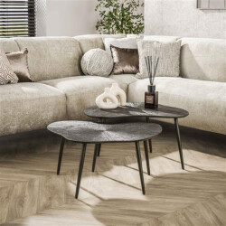 Hoyz salontafel brown ray metal leaf brons donker set van