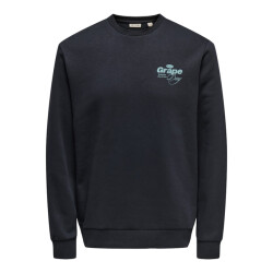 Only & Sons onsalfresco reg crew neck 22035625 black grape