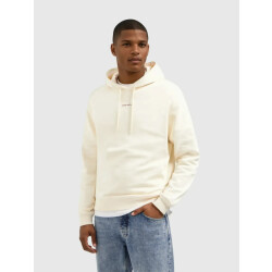 Pure Path Loose fit hoodie ls sweaters