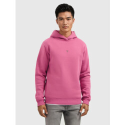 Pure Path Regular fit hoodie ls sweaters