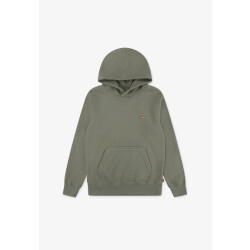 Levi's Badwing chesthit hoodie oud