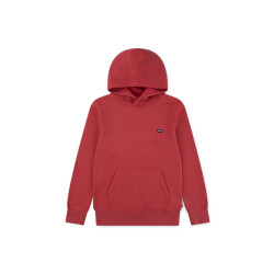 Levi's Badwing chesthit hoodie gewassen