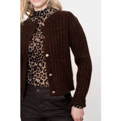 Geisha 54541-14 775 cardigan lurex & sequinces brown/copper