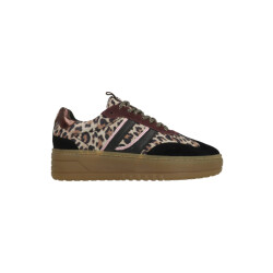 PS Poelman Anemone lpanemone-49poe1 / bruin