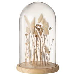 J-Line Bell jar dried flowers ecru/brown glass wood large
