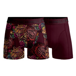 Muchachomalo Boys 2-pack boxer shorts print/solid