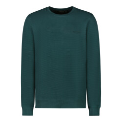 Cars Samie crewneck sw
