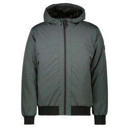 Cars Pranoy polyester bottle donker