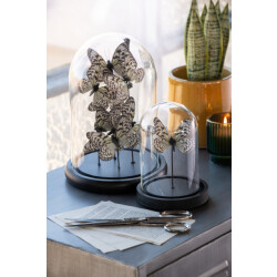 J-Line Decorative bell jar butterfly glass black/white medium