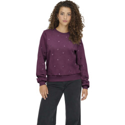 Only Onlatika l/s o-neck glitter emb. box swt mauve win