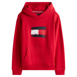 Tommy Hilfiger Sweat kb0kb10112