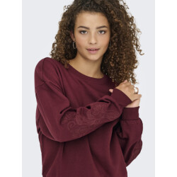 Only Onlbrooklyn l/s embroidery box swt