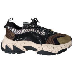 Steve Madden 11004763 sneaker