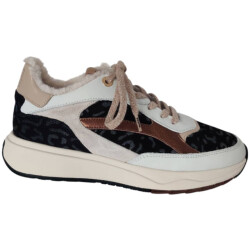 Floris van Bommel 10138-60-01 suvi sneaker