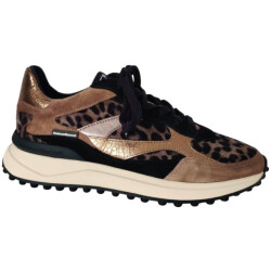 Floris van Bommel 10085-34-01 sneaker