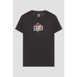Levi's graphic boxy t-shirt single rose a8804 0066