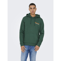 Only & Sons Onsceres kenny reg ls hoodie sweat