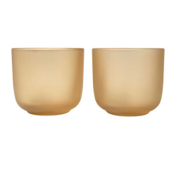 Seasons Boorsilicaatglas 200ml beker (set van 2)