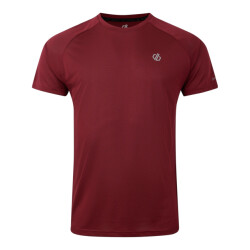 Dare2b Heren versnellen lichtgewicht t-shirt