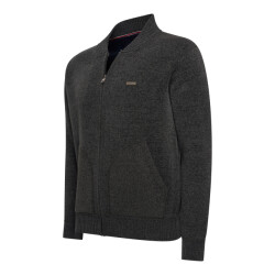 Norlund Vest silvar