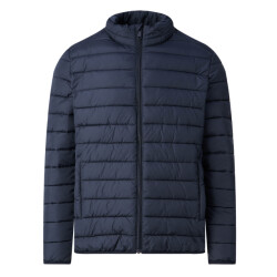 Campbell Padded jacket zane