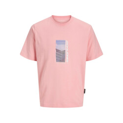 Jack & Jones Jcosago photo slub tee