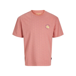 Jack & Jones Jcoaop chestprint tee ss crew neck