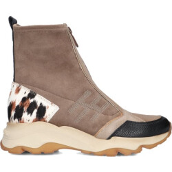 Hispanitas Zhi254364