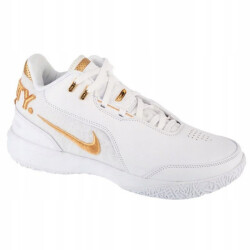 Nike Heren lebron james leren trainers