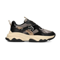 PS Poelman C18582-x7