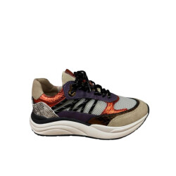 PS Poelman Lpcharu-18poe