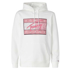 Tommy Hilfiger Heren tommy jeans groot logo hoodie