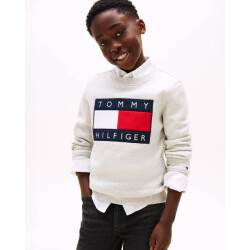Tommy Hilfiger Sweat ks0ks00709