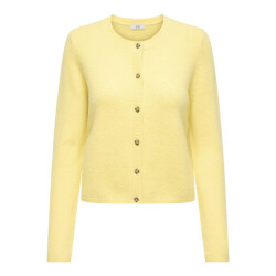 Jacqueline de Yong Jdychloe life ls cardigan knt noos -