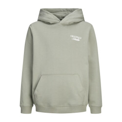Jack & Jones Jornorrebro typo back sweat hood sn jnr olijf