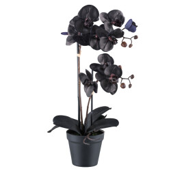 Kopu ® kunstplant phalaenopsis orchidee 10 real touch bloemen -