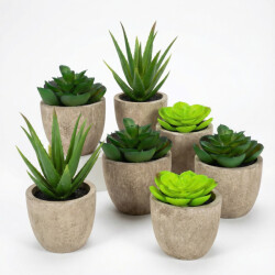 GreenDream ® 6 stuks kunstplanten nep planten vetplanten cadeautip
