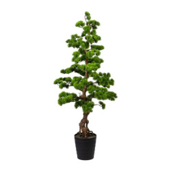 Kopu ® bonsai dennen boom ca. 140 cm in een zwarte plastic pot