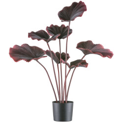 Kopu ® palmboom 100 cm donkerrood in een zwarte plastic pot kamerplant
