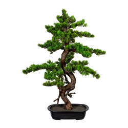Kopu ® bonsai mirte ca. 85x55 cm- in een zwarte plastic pot