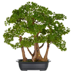 Kopu ® kunstplant bonsai lariks 53 cm met zwarte pot bonsai boompje