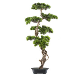Kopu ® bonsai dennen boompje ca. 90x40 cm in een zwarte plastic pot
