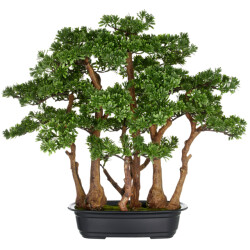 Kopu ® 7 stammen theeblad bonsai 60x60 cm in een zwarte plastic pot