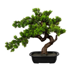 Kopu ® bonsai mirte ca. 40x40 cm- in een zwarte plastic pot