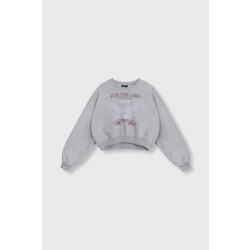 Alix The Label Eagel sweater melee
