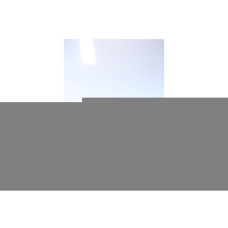 DL Sport 7036 instappers