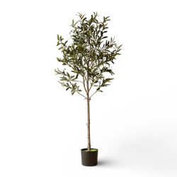 Indore Home Indore silva kunst olijfboom 155cm
